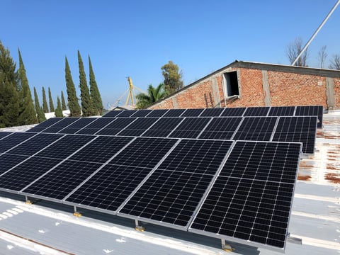 Array of black solar panels installed on a residential rooftop with a brick building and cypress trees in the background