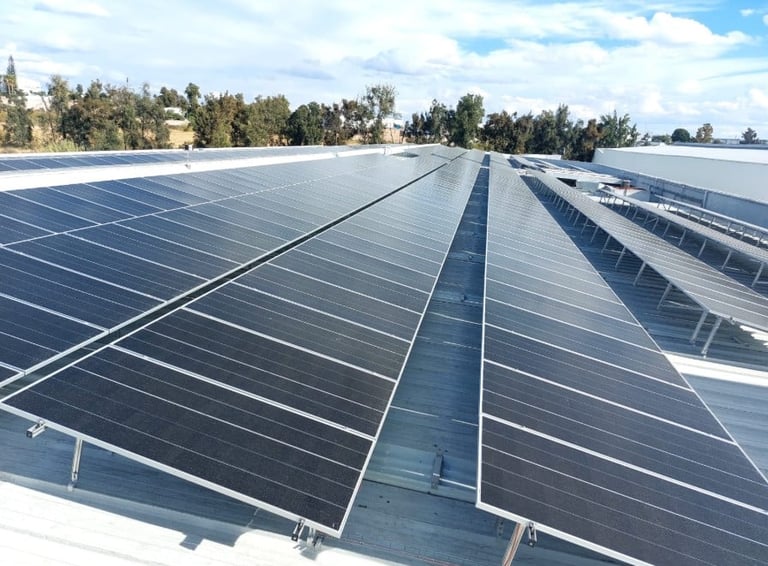 Solar panels installed on a rooftop with trees and blue sky in the background